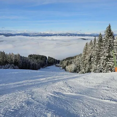 Karawankenpanorama L Daire *