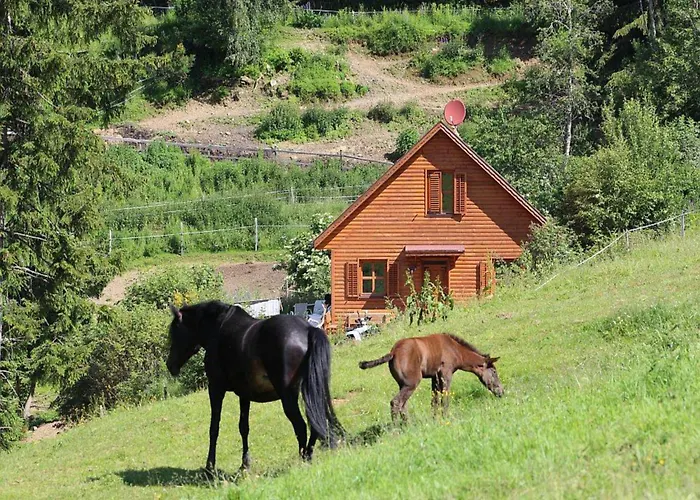 Karawankenpanorama L *