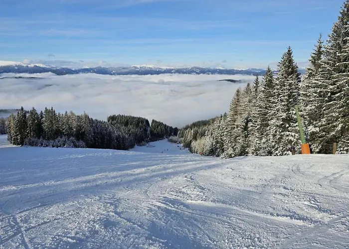 Apartment Karawankenpanorama L